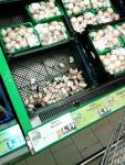 Imagine atasata: kaufland.jpg